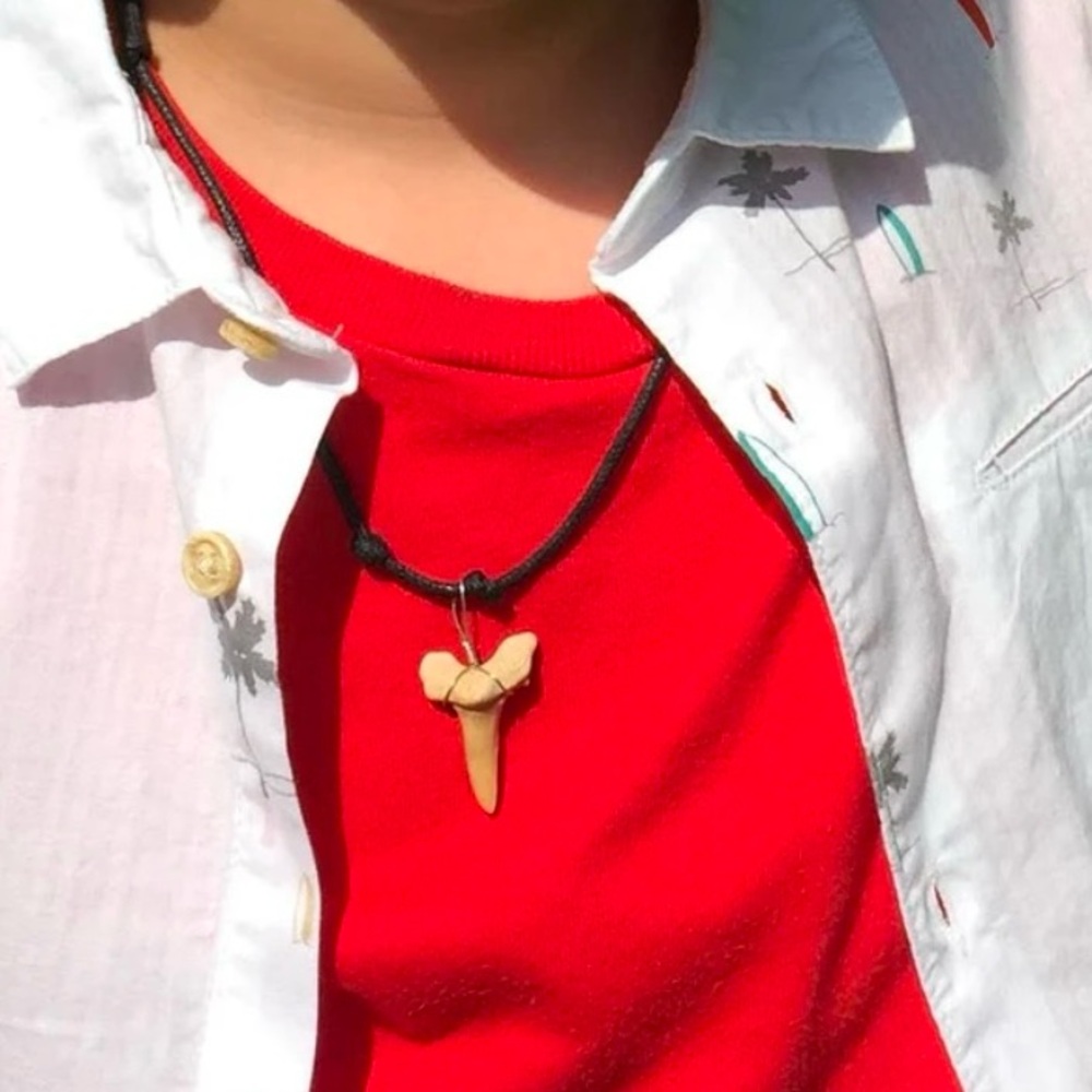 Shark Tooth Pendant With Black Cord Necklace